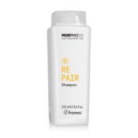 Framesi Morphosis Repair Shampoo 250ml