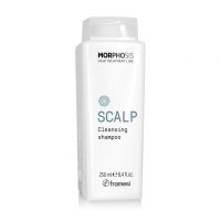 Framesi Morphosis Cleansing Shampoo 250ml